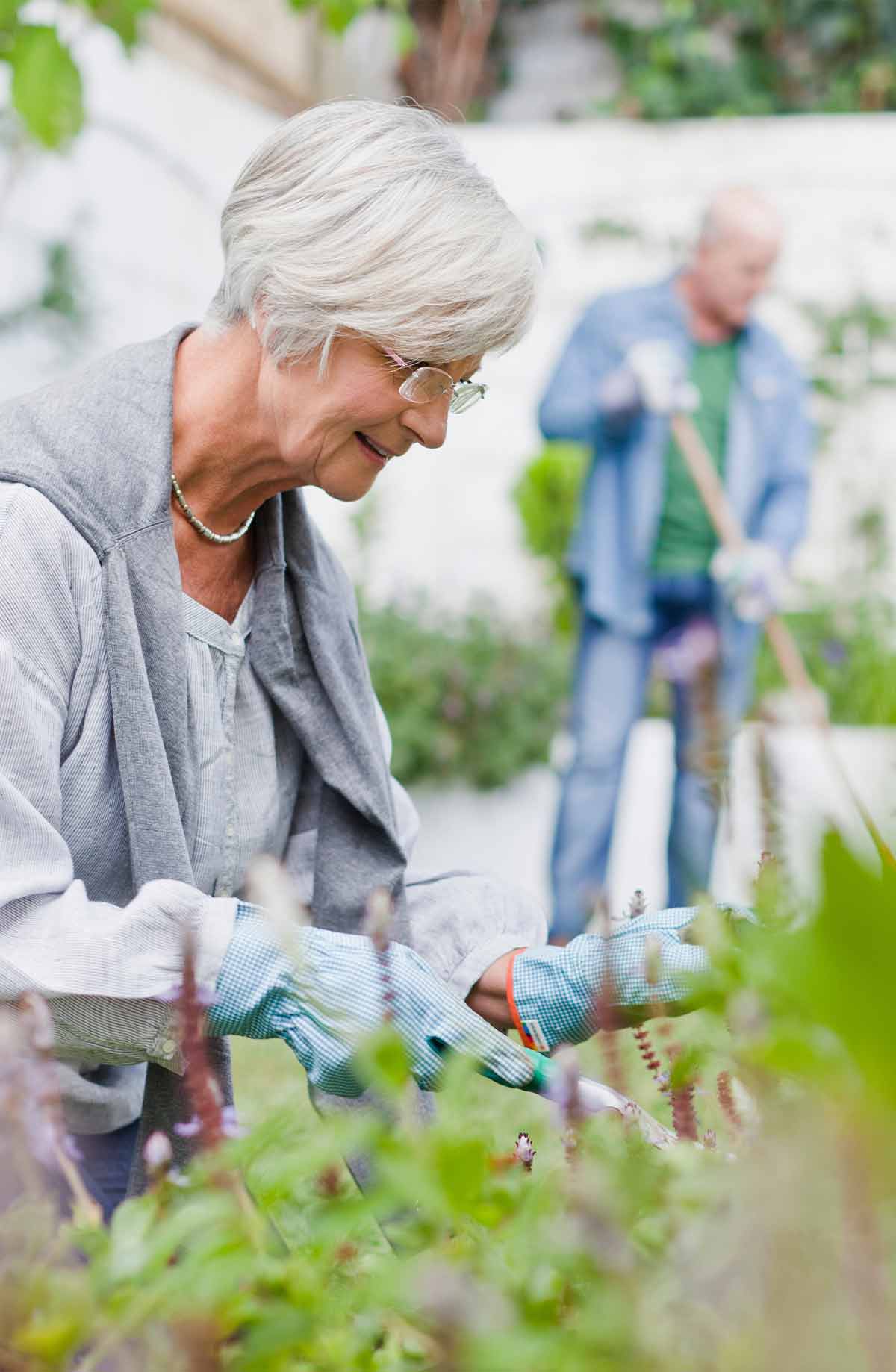 terapia-supplettiva